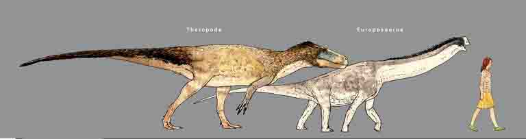 Größenvergleich eines Menschen mit dem durch die Fußspuren belegten räuberischen Theropoden sowie dem pflanzenfressenden Zwerg-Dinosaurier Europasaurus. (c) Zeichnung: Joschua Knüppe/2015
