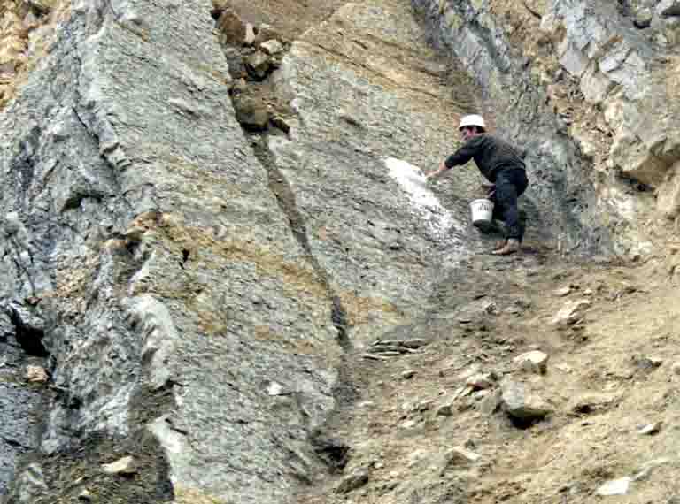 Nils Knötschke vom Dinopark Münchehagen bei der Bergung der Fußspuren im Jahr 2003. Um ein Zerbrechen der Fußspuren beim Herausklopfen aus dem Gestein zu verhindern, wurden sie vor der Bergung mit einem Gipsmantel umgeben. (c) Foto: Holger Lüdtke/2003